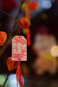 tứ sắc di động Nohu